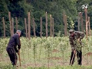 Тема тижня: умови вільної торгівлі з ЄС поставлять аграріїв на коліна Тема тижня: умови вільної торгівлі з ЄС поставлять аграріїв на коліна