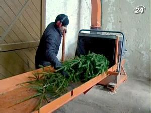 Друге життя новорічної ялинки Друге життя новорічної ялинки