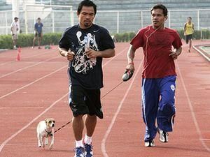 Менні Пакьяо: У мене не буває легких суперників Менні Пакьяо: У мене не буває легких суперників