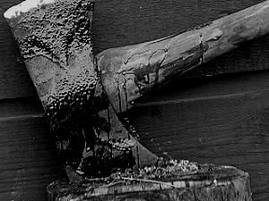 Донецьк: пенсіонер порубав сина і невістку і повісився Донецьк: пенсіонер порубав сина і невістку і повісився