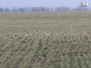 Тема тижня: 2011 року фермери планують засіяти майже 27 млн. га зернових Тема тижня: 2011 року фермери планують засіяти майже 27 млн. га зернових