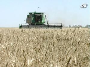 Покупці відмовляються від українського зерна
