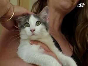 Люди давно помітили, що контакт з тваринами йде на користь здоров’ю Люди давно помітили, що контакт з тваринами йде на користь здоров’ю