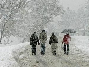 На завтра обіцяють сильні снігопади На завтра обіцяють сильні снігопади