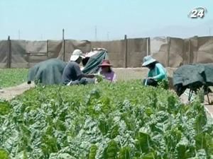 У найсухішому місці на Землі живуть люди У найсухішому місці на Землі живуть люди