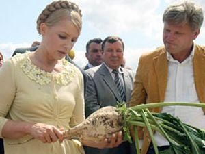 Уряд Тимошенко звинувачують у відмиванні грошей на цукрі Уряд Тимошенко звинувачують у відмиванні грошей на цукрі
