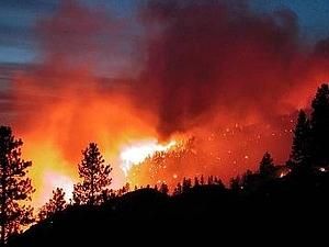 На Дніпропетровщині з’являться безпілотні літаки для боротьби з лісовими пожежами На Дніпропетровщині з’являться безпілотні літаки для боротьби з лісовими пожежами