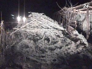 На Прикарпатті вилучили 560 кілограм наркотичної речовини На Прикарпатті вилучили 560 кілограм наркотичної речовини