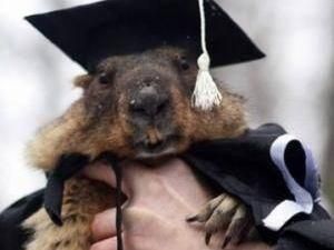 Сьогодні дивне свято - День бабака Сьогодні дивне свято - День бабака