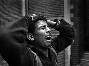 ЗМІ: Прихильники Президента Єгипту на верблюдах і конях виступили проти демонстрантів у Каїрі ЗМІ: Прихильники Президента Єгипту на верблюдах і конях виступили проти демонстрантів у Каїрі