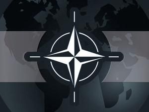 НАТО сподівається, що Єгипет залишиться партнером альянсу