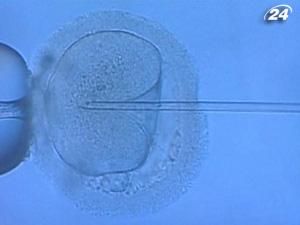 Вчені можуть спостерігати за розвитком дитини з перший годин після зачаття Вчені можуть спостерігати за розвитком дитини з перший годин після зачаття