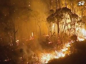 Захід Австралії потерпає від лісових пожеж Захід Австралії потерпає від лісових пожеж