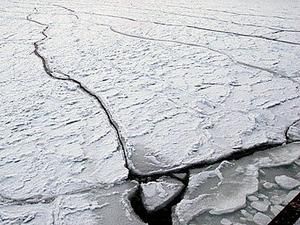 Під час рибалки на Кіровоградщині загинули ректор, декан і хірург Під час рибалки на Кіровоградщині загинули ректор, декан і хірург