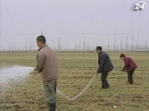 Китаю загрожує продовольча криза і прискорення інфляції Китаю загрожує продовольча криза і прискорення інфляції