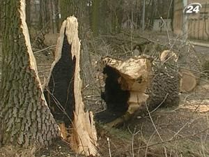 В Україні оголошено штормове попередження - 10 лютого 2011 - Телеканал новин 24 В Україні оголошено штормове попередження - 10 лютого 2011 - Телеканал новин 24