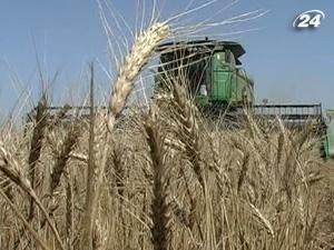 У 2011 р. Україна зможе експортувати 13 млн. т зернових У 2011 р. Україна зможе експортувати 13 млн. т зернових