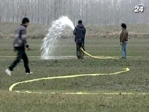 Дефіциту зерна на світових ринках очікувати не варто Дефіциту зерна на світових ринках очікувати не варто