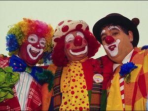 У Партію регіонів вступив увесь Сімферопольський цирк У Партію регіонів вступив увесь Сімферопольський цирк