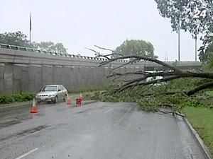 "Карлос" лютує в Австралії "Карлос" лютує в Австралії