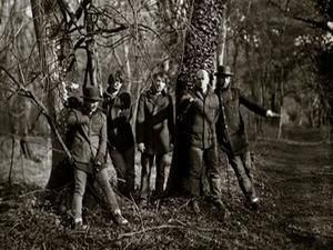 Radiohead присвятили альбом дереву Radiohead присвятили альбом дереву