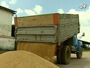 Уряд продовжить квотування експорту зерна до кінця сезону