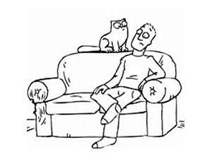 Кіт Саймона отримав місце у The Daily Mirror Кіт Саймона отримав місце у The Daily Mirror