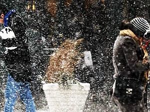 У США снігова буря, є жертви У США снігова буря, є жертви