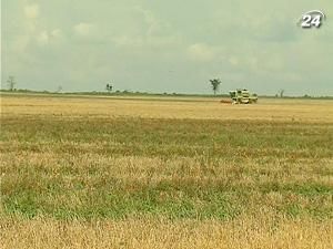 Нардепи визначили кому довірити експорт зерна Нардепи визначили кому довірити експорт зерна