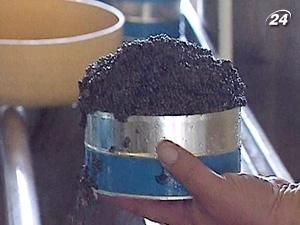 З 1 березня діють нульові квоти на експорт чорної ікри З 1 березня діють нульові квоти на експорт чорної ікри