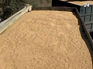 Аграрії можуть втратити 50% посівного матеріалу Аграрії можуть втратити 50% посівного матеріалу