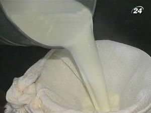 Мінагропрод: Україна збільшує виробництво якісного молока