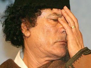 Уряд: Каддафі не орендує українські землі Уряд: Каддафі не орендує українські землі