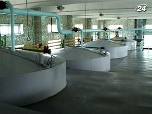 Мінагрополітики має намір реформувати мережу українських спиртзаводів Мінагрополітики має намір реформувати мережу українських спиртзаводів