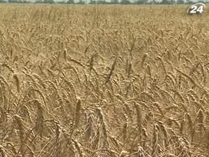 Аграрний фонд у 2010 році фінансував посередників Аграрний фонд у 2010 році фінансував посередників