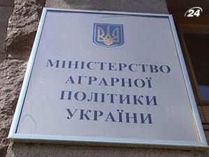 Ліцензії на імпорт цукру будуть узгоджувати Мінагропрод і Держрезерв Ліцензії на імпорт цукру будуть узгоджувати Мінагропрод і Держрезерв