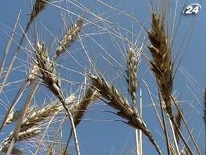 Аграрії заборгували банкам майже 27 млрд. грн. Аграрії заборгували банкам майже 27 млрд. грн.