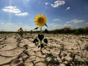 Британські метеорологи розповіли, що чекає Україну в XXI столітті Британські метеорологи розповіли, що чекає Україну в XXI столітті