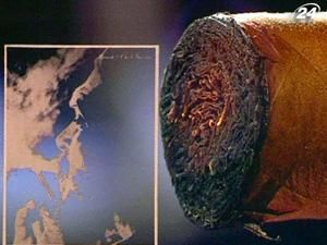 Кубинська сигара - секрет витонченого смаку Кубинська сигара - секрет витонченого смаку