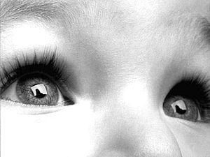 Студентка-медик викинула свою дитину з п'ятого поверху Студентка-медик викинула свою дитину з п'ятого поверху