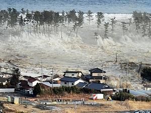 Японські автовиробники тимчасово припинили роботи на заводах Японські автовиробники тимчасово припинили роботи на заводах