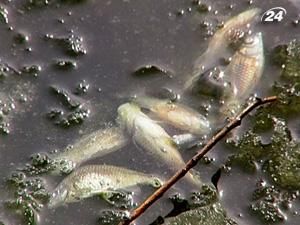 Виновных в спуске воды Кременчугской ГЭС обещают наказать 