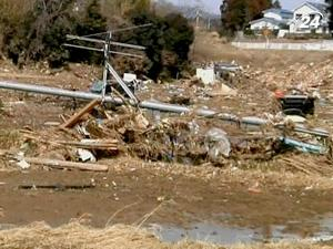 Аварии на АЭС присвоили 6 уровень опасности из 7 возможных