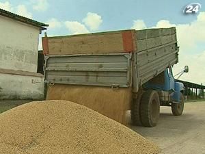 Вартість переробки зерна підвищили на 44%