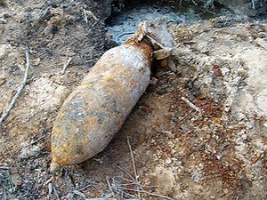 Волынь: Лесорубы нашли немецкую авиабомбу Волынь: Лесорубы нашли немецкую авиабомбу