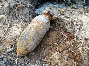 Волынь: Лесорубы нашли немецкую авиабомбу