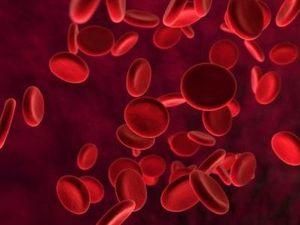 Канадські вчені створили універсальну кров Канадські вчені створили універсальну кров