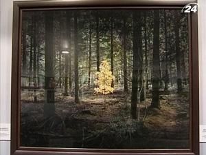 Містика англійських лісів - роботи Дейвіс вперше в Україні Містика англійських лісів - роботи Дейвіс вперше в Україні