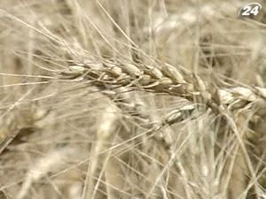 ЕБРР: Монополизация агрорынка отпугивает инвесторов ЕБРР: Монополизация агрорынка отпугивает инвесторов