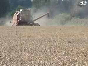 Тема тижня: Україна не використовує аграрний потенціал Тема тижня: Україна не використовує аграрний потенціал